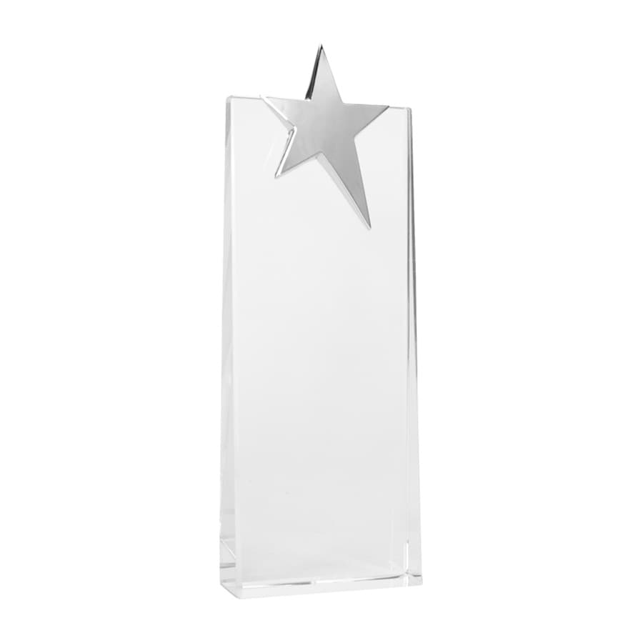Trofeo Galvano de Cristal «Ledecky» — imagen 2
