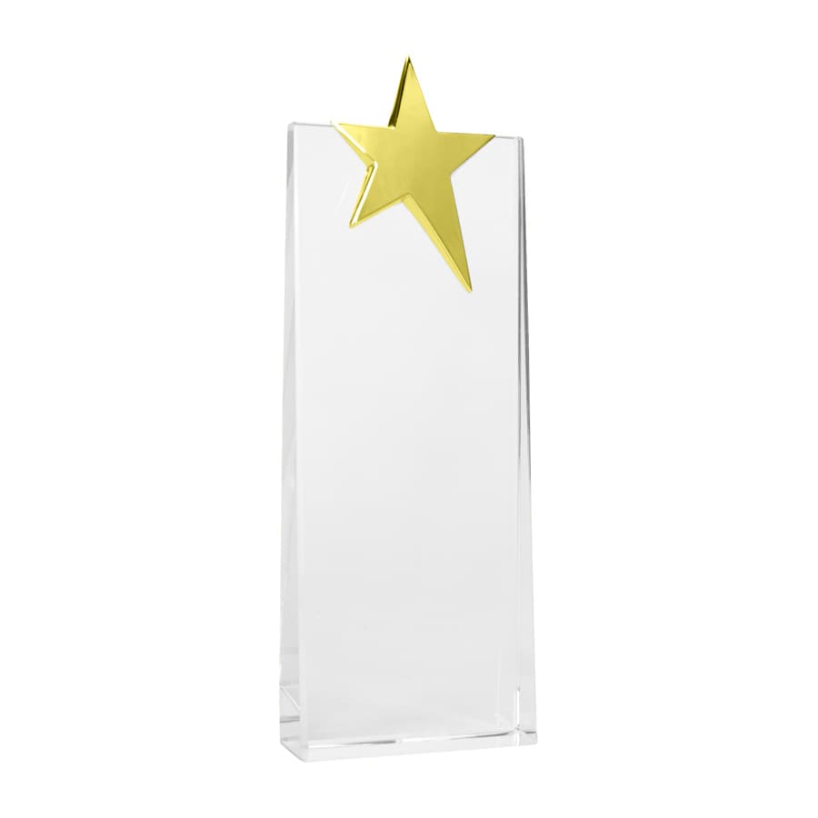 Trofeo Galvano de Cristal «Ledecky» — imagen 4